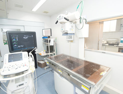 広島市 イヌやネコの動物病院 超音波画像診断・エコールーム