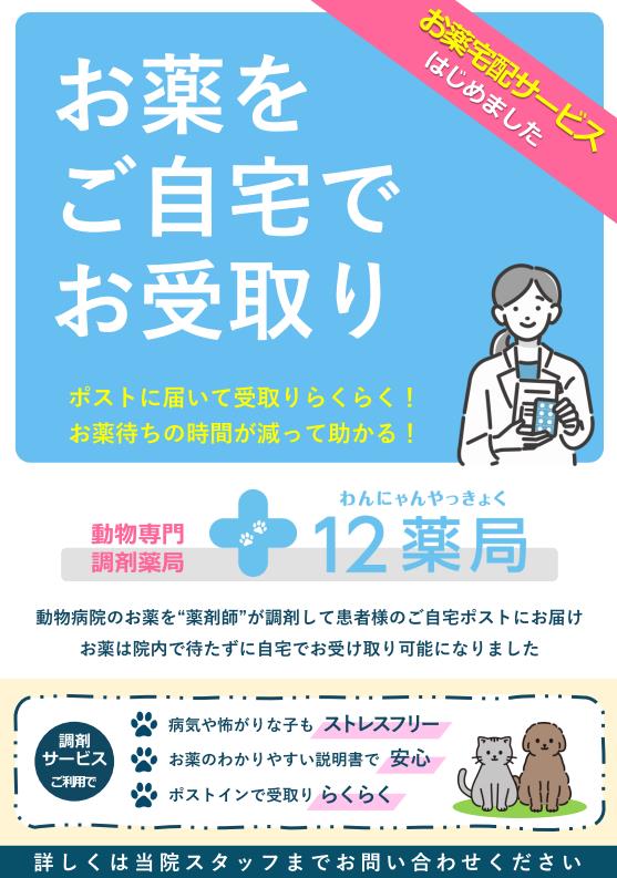 お薬宅配サービス始めました