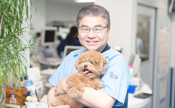広島市のペットクリニック 子犬や子猫、犬猫の診察